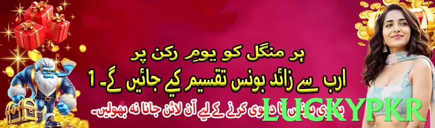 luckypkr interface sample - 3